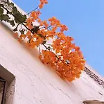 Casa Brigita. Fortaleza
